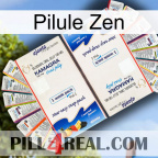 Zen Pill kamagra1